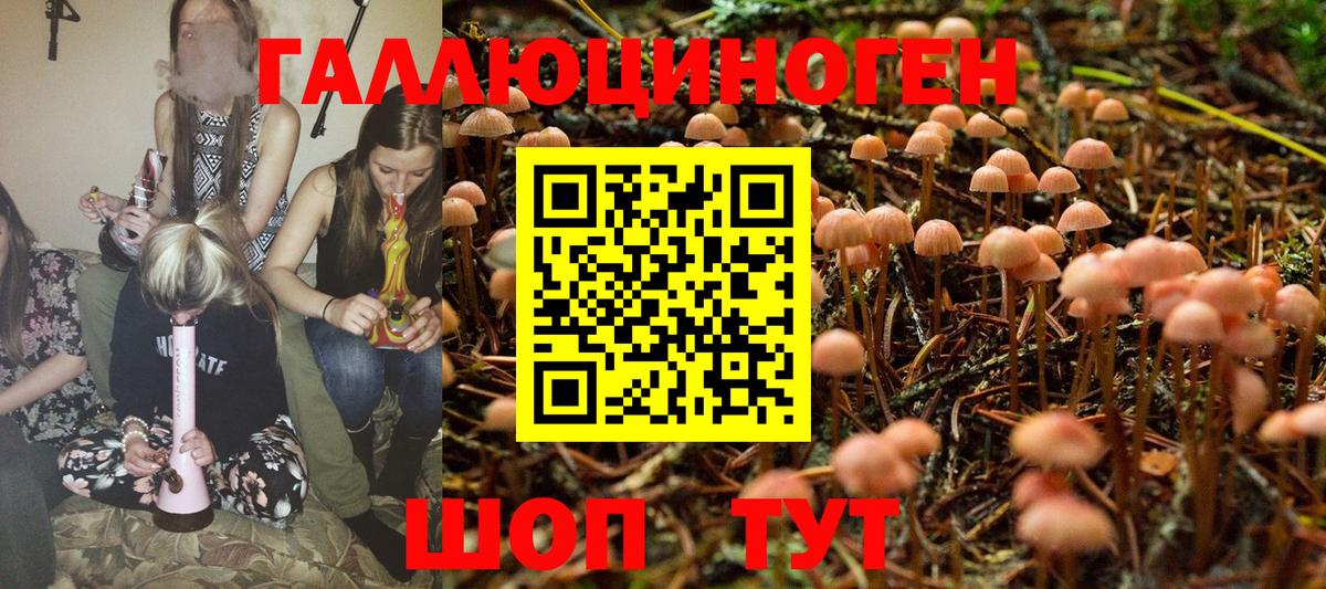 Псилоцибиновые грибы GOLDEN TEACHER Полевской